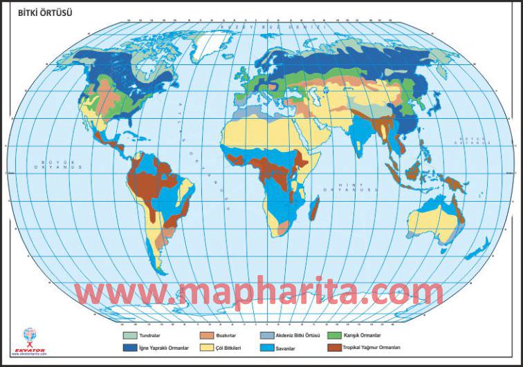 DÜNYA BİTKİ ÖRTÜSÜ HARİTASI