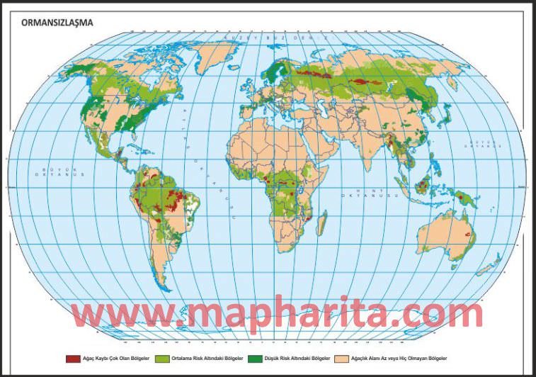 DÜNYA ORMANSIZLAŞMA HARİTASI