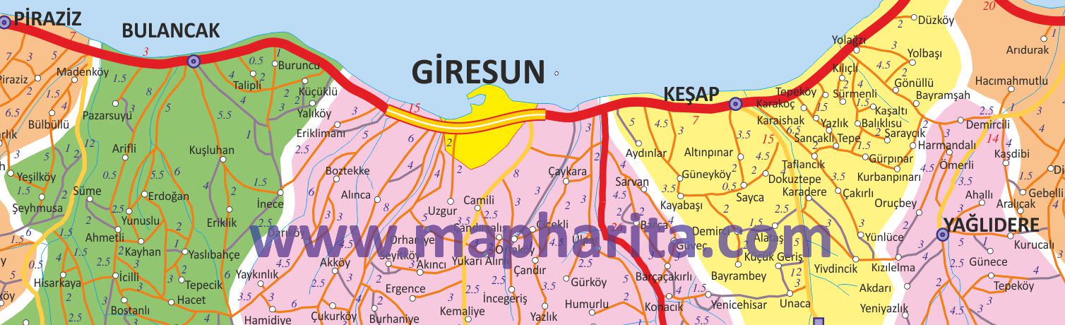 Giresun İl Haritası Yakından Örnek Görüntüsü